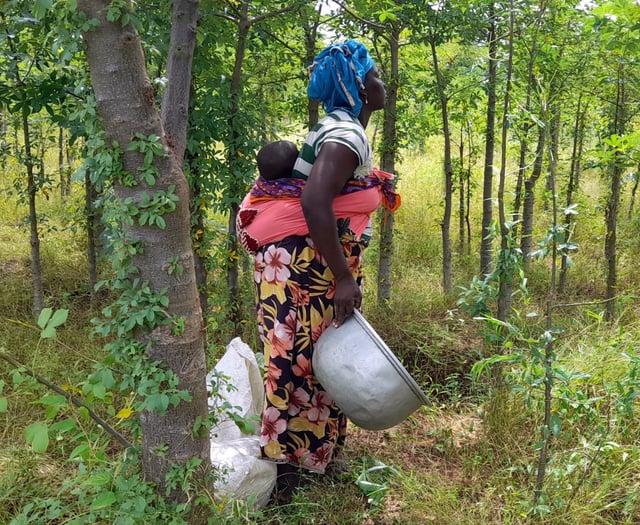 Charity challenge to give young people a fruitful future in Mali