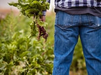 Concern over levels of mental health in farming