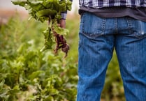 Concern over levels of mental health in farming