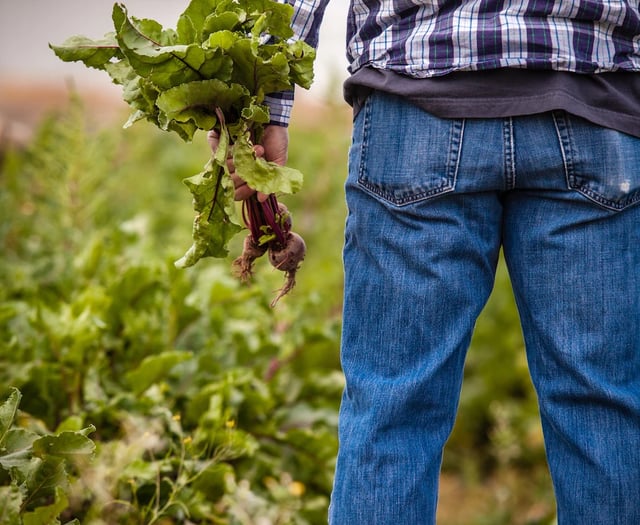 Concern over levels of mental health in farming