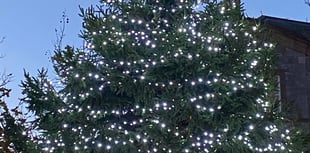 Lighting up Teignmouth for Christmas today