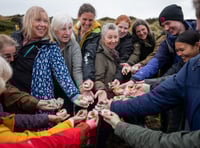 Securing Dartmoor’s future through community projects