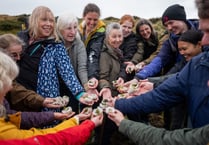 Securing Dartmoor’s future through community projects