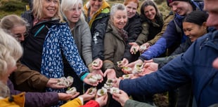 Securing Dartmoor’s future through community projects