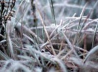 Update on Yellow Warning of snow and ice for Devon