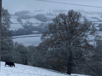 Risk of snow and ice across Devon 