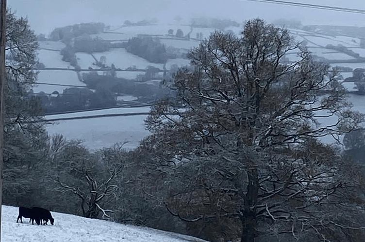 Snow
