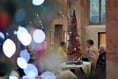 Spikey shines at church tree fest
