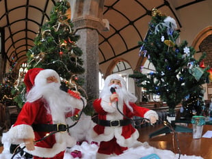 Christmas tree festival opens this weekend 