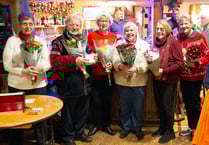 Cuddly Toy Gang strikes again