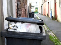 Bin collections for Christmas across Teignbridge