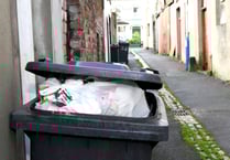 Bin collections for Christmas across Teignbridge