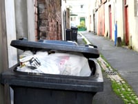 Bin collections for Christmas across Teignbridge