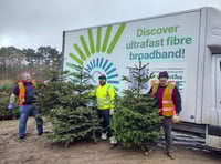 Christmas tree recycling scheme to benefit  hospice charity