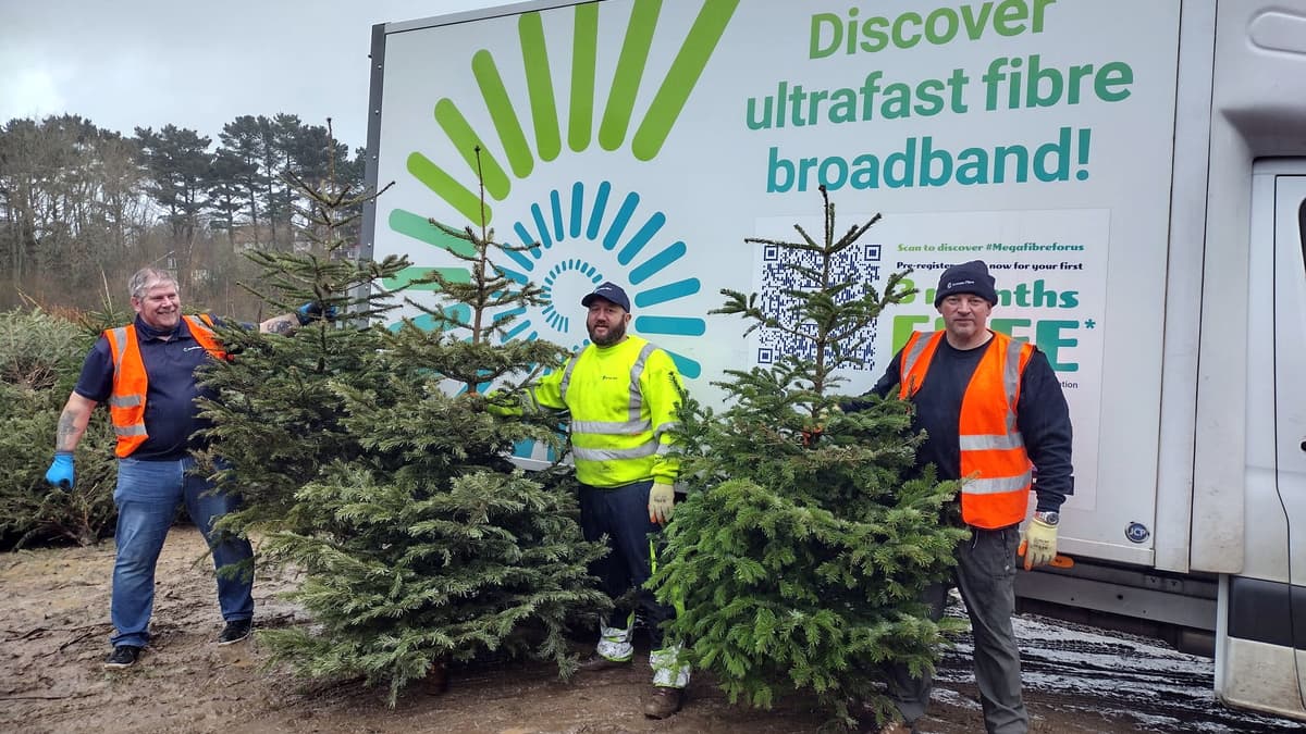 Jurrasic Fibre Christmas tree scheme to benefit hospice charity middevonadvertiser.co.uk