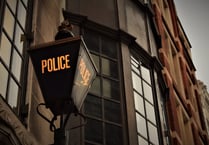 Police brief councillors on Lawn social problems