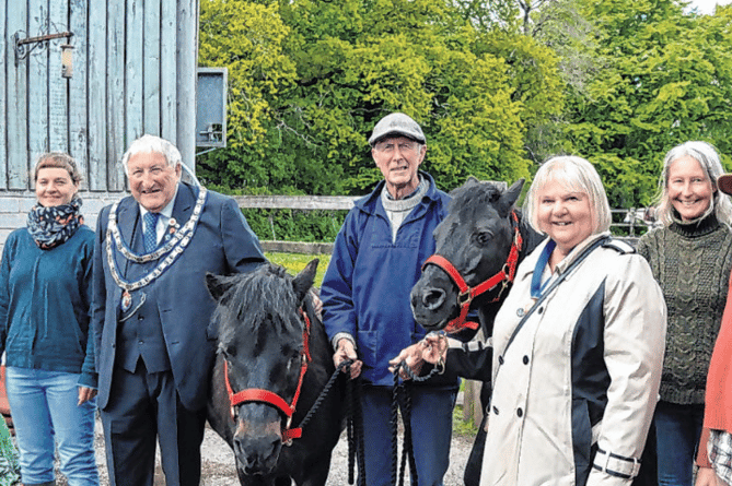 Cllr Mike Joyce, as mayor of Newton Abbot, visits the Horses for Health charity in June 2021.