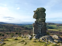 Dartmoor is the UK’s top Wildlife Hotspot, according to TikTok