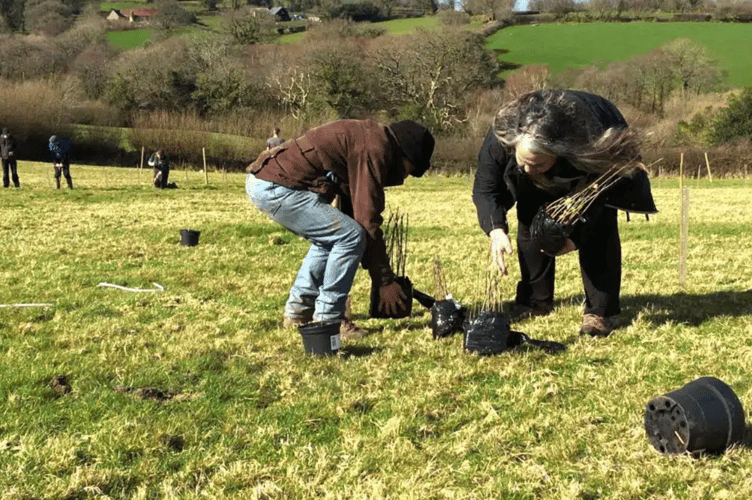 Countryside Skills