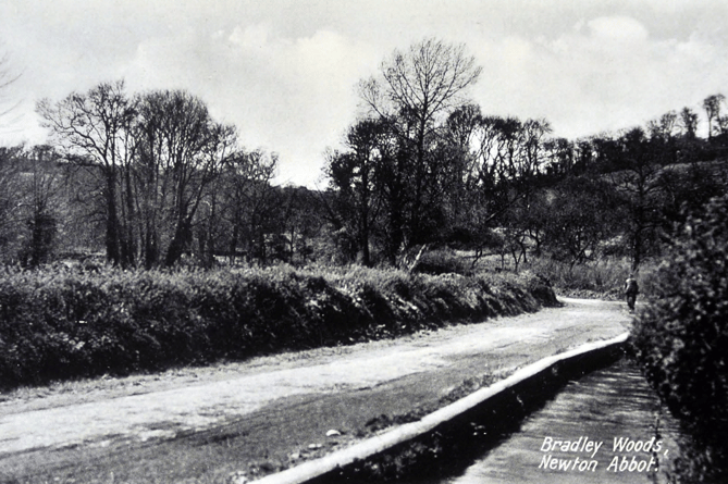 View towards Bradley Woods from what  is now the fringes of Bradley Lane Industrial Estate.