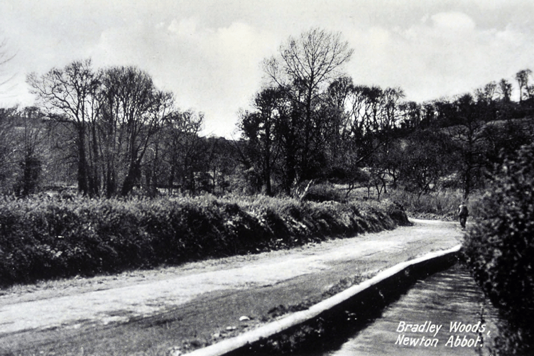View towards Bradley Woods from what is now the fringes of Bradley Lane Industrial Estate.