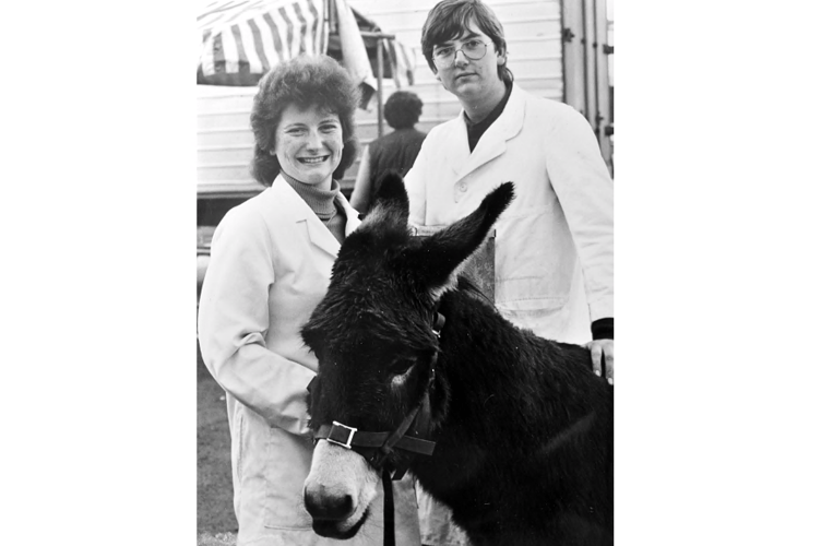 Newton Abbot Christmas Show from December 1984. Vice chairman of Newton Abbot Young Farmers Heather Slade with John Bellamy who were encouraging visitors to that year’s show to guess the weight of the donkey. (Editor’s note: And no, we don’t know what the weight was)