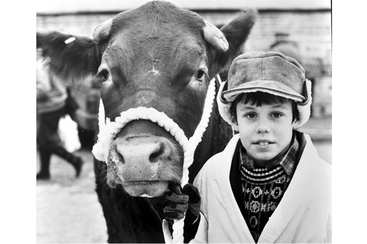 Nine year old David Vallance of Lower Whiddon Farm, Ashburton, was showing
Limousin/South Devon Cross called Peter