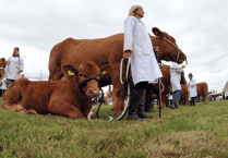 Devon County Show road hold-ups warning