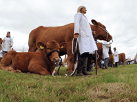 Devon County Show road hold-ups warning