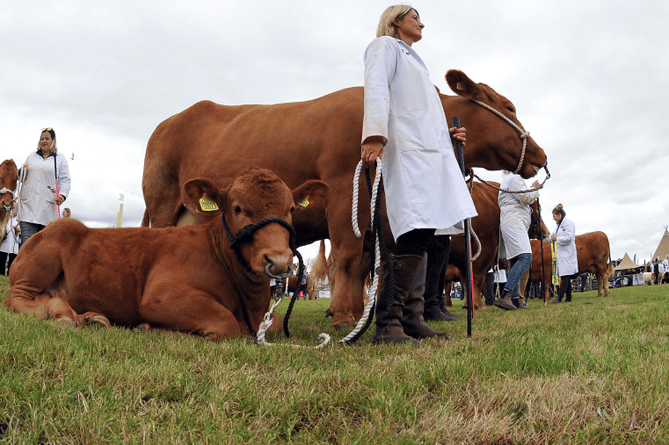 The Devon County Show proves to be as popular as ever.