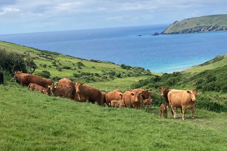 Devon County Agricultural Association