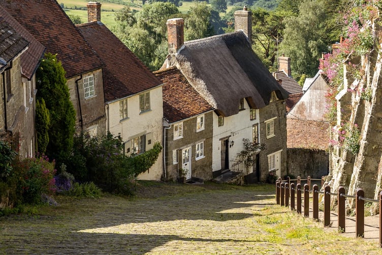 village stock