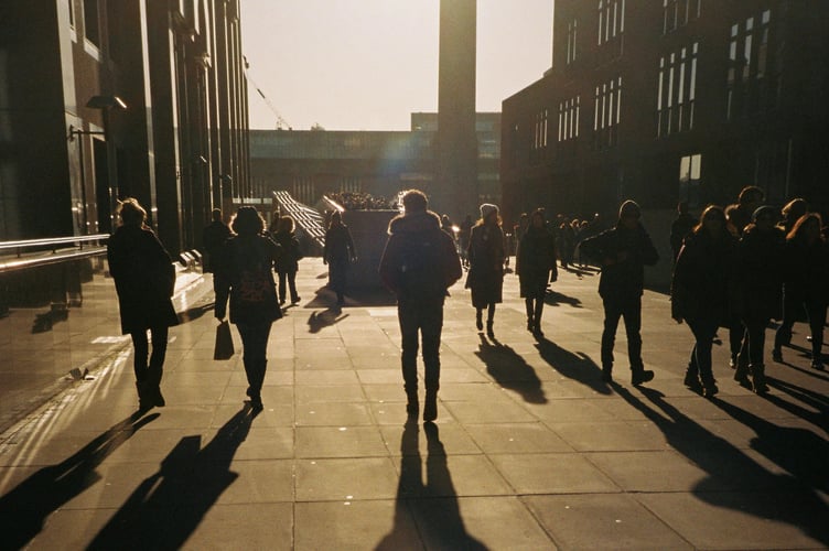 walking stock