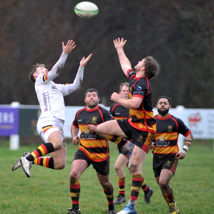 Newton Abbot RFC v Chard RFC
