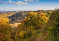 Woodland Trust puts up £20,000 in new competition