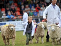 Young Farmers to debate farming opportunities at Devon County Show