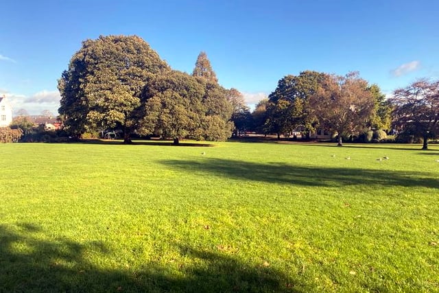 Hundreds respond after backlash over green space disposal plans