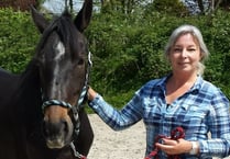 Win a painting for the Mare and Foal Sanctuary's 30th birthday