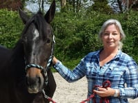 Win a painting for the Mare and Foal Sanctuary's 30th birthday