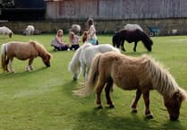 The Miniature Pony Centre closes for good