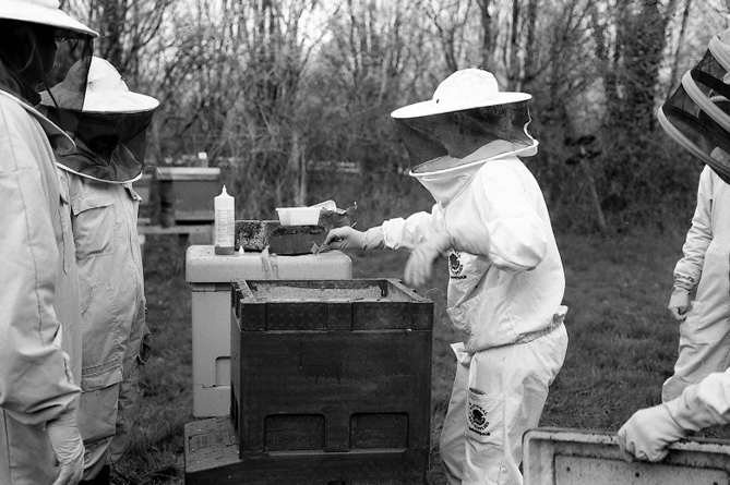 Newton Abbot Beekeeping Association