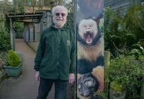 WATCH: Zoo volunteer Geoff needs your vote to be next Tourism star