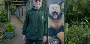 WATCH: Zoo volunteer Geoff needs your vote to be next Tourism star