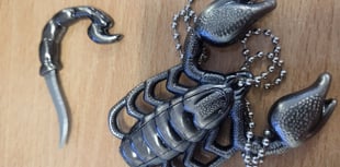 Police raid in Okehampton as part of crackdown on illegal weapons