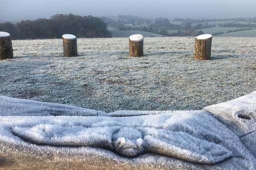 Green spaces news and events
