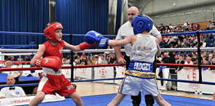 Amateur boxing deserving of a rethink in society