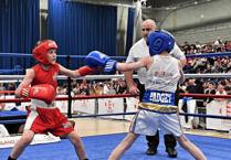 Amateur boxing deserving of a rethink in society