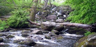These famous Devon waterfalls have been among the most beautiful in Britain