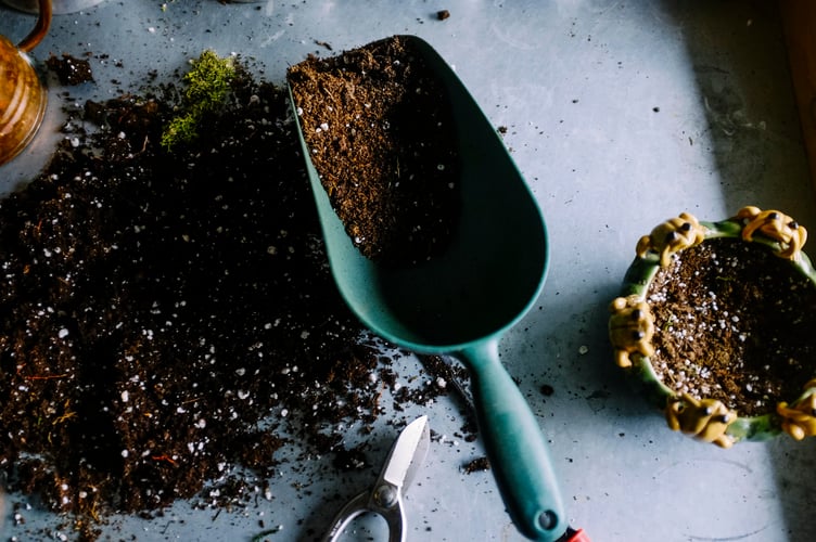 composting stock image