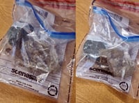 Police catch man smoking cannabis in the park